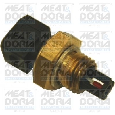 Sensor, intake air temperature